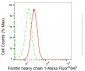 KD-Validated Anti-Ferritin heavy chain 1 Rabbit Monoclonal Antibody